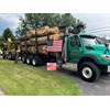 2015 International Workstar-7600 Log Truck