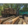 2015 International Workstar-7600 Log Truck