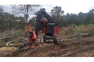 Valmet 425EX  Feller Buncher