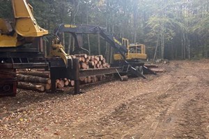 2005 Tigercat 244  Log Loader