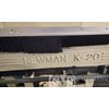 Newman K-20  w/ Infeed  Outfeed Trim Saw