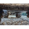 2010 Caterpillar 545C Skidder