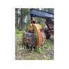 2018 Caterpillar 545D Skidder