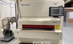 2006 Heesemann  Sander