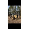 2012 Caterpillar 525C Skidder