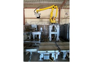 2020 Premier Tech PALLETIZING SYSTEM  Bagging System