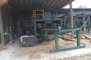 Douglas Shaving Mill Operation  Shavings Mill